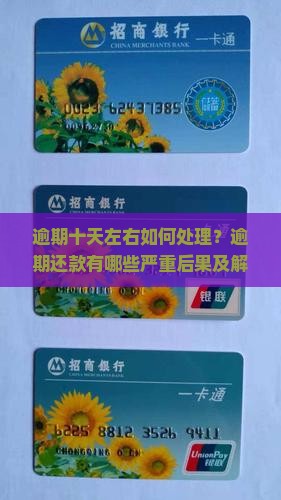 逾期十天左右如何处理？逾期还款有哪些严重后果及解决方案？