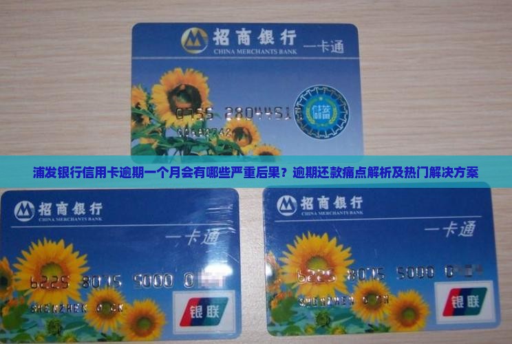 浦发银行信用卡逾期一个月会有哪些严重后果？逾期还款痛点解析及热门解决方案