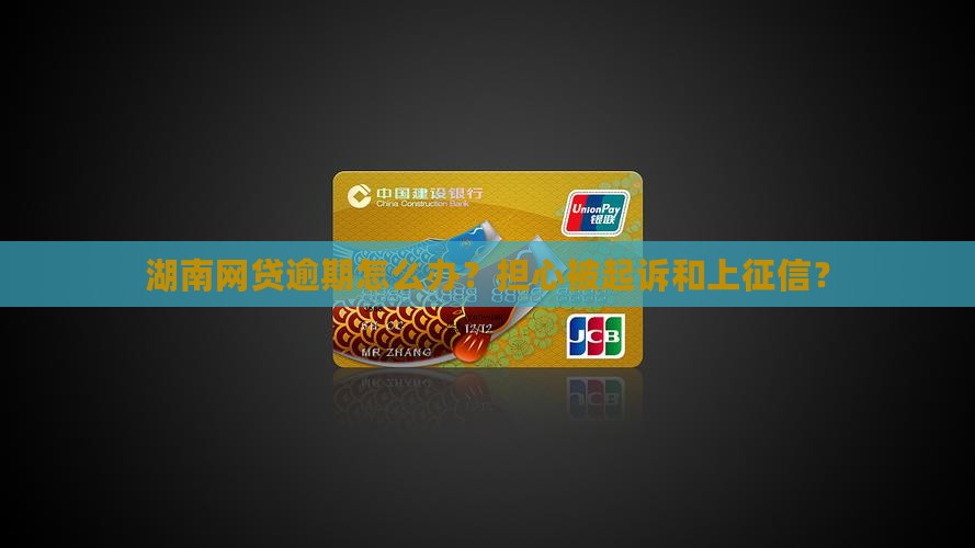 湖南网贷逾期怎么办？担心被起诉和上征信？