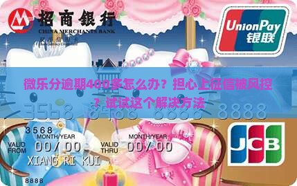 微乐分逾期400多怎么办？担心上征信被风控？试试这个解决方法