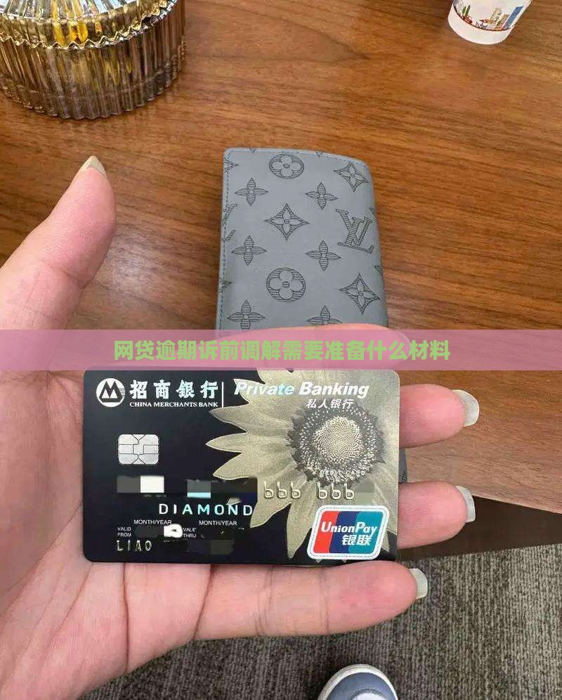 网贷逾期诉前调解需要准备什么材料