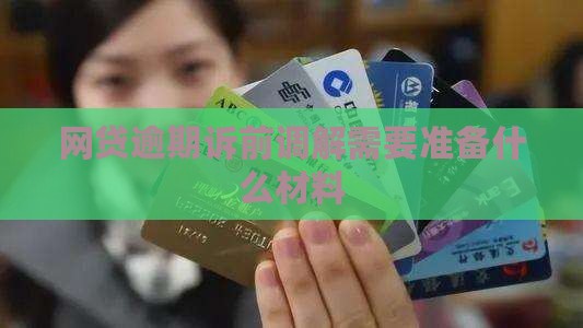 网贷逾期诉前调解需要准备什么材料