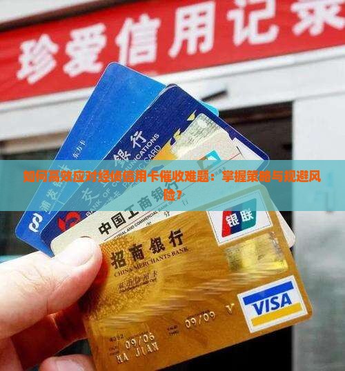 如何高效应对经侦信用卡催收难题：掌握策略与规避风险？