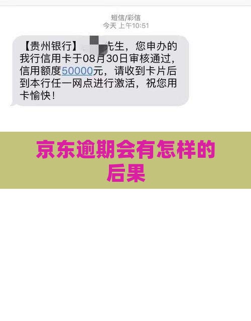 京东逾期会有怎样的后果