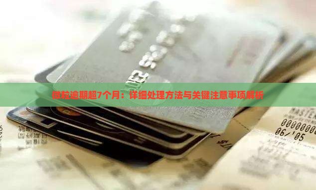微粒逾期超7个月：详细处理方法与关键注意事项解析