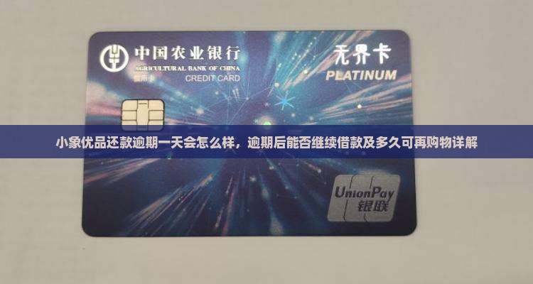 小象优品还款逾期一天会怎么样，逾期后能否继续借款及多久可再购物详解