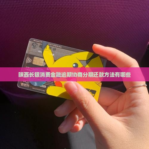 陕西长银消费金融逾期协商分期还款方法有哪些