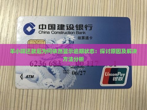 羊小咩还款后为何依然显示逾期状态：探讨原因及解决方法分析