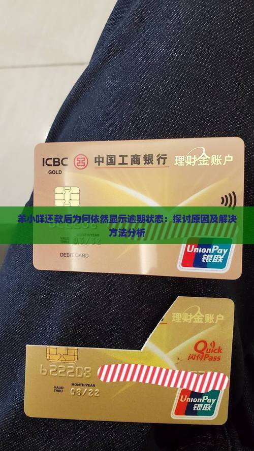 羊小咩还款后为何依然显示逾期状态：探讨原因及解决方法分析