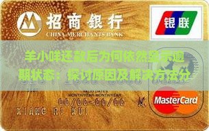 羊小咩还款后为何依然显示逾期状态：探讨原因及解决方法分析
