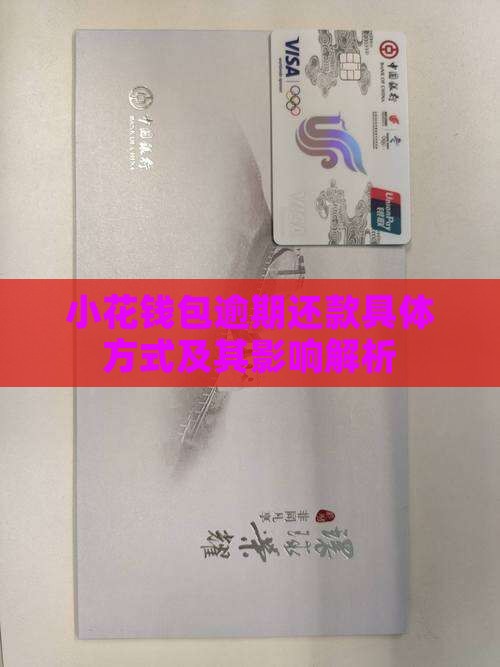 小花钱包逾期还款具体方式及其影响解析 小花钱包逾期还款具体方式及其影响解析