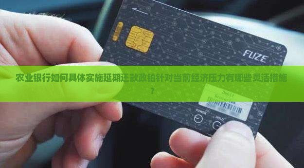 农业银行如何具体实施延期还款政铂针对当前经济压力有哪些灵活措施？