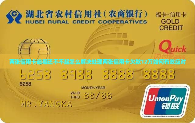 两张信用卡逾期还不不起怎么解决处理两张信用卡欠款12万如何有效应对