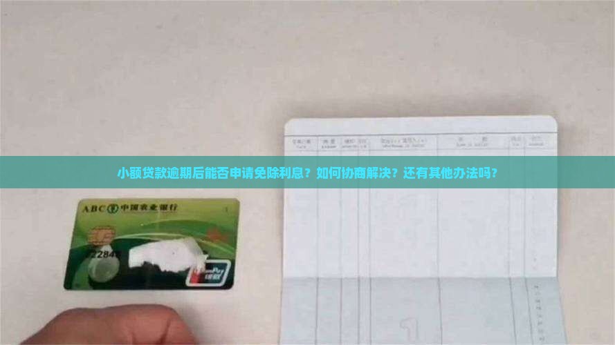 小额贷款逾期后能否申请免除利息？如何协商解决？还有其他办法吗？