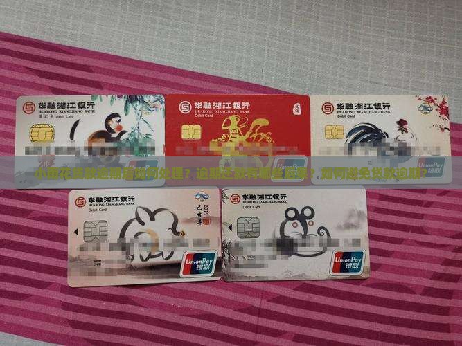小雨花贷款逾期后如何处理？逾期还款有哪些后果？如何避免贷款逾期？