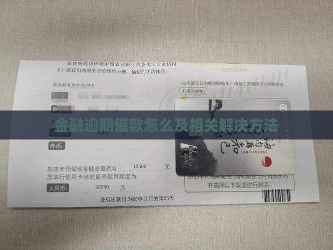 金融逾期催款怎么及相关解决方法