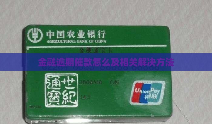金融逾期催款怎么及相关解决方法