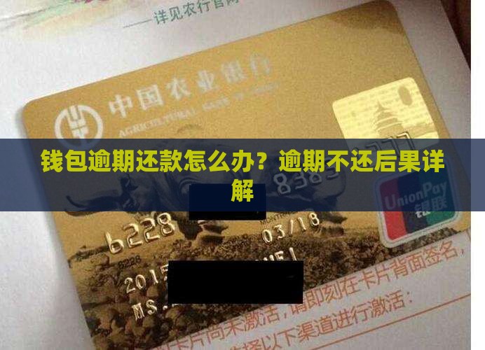 钱包逾期还款怎么办？逾期不还后果详解