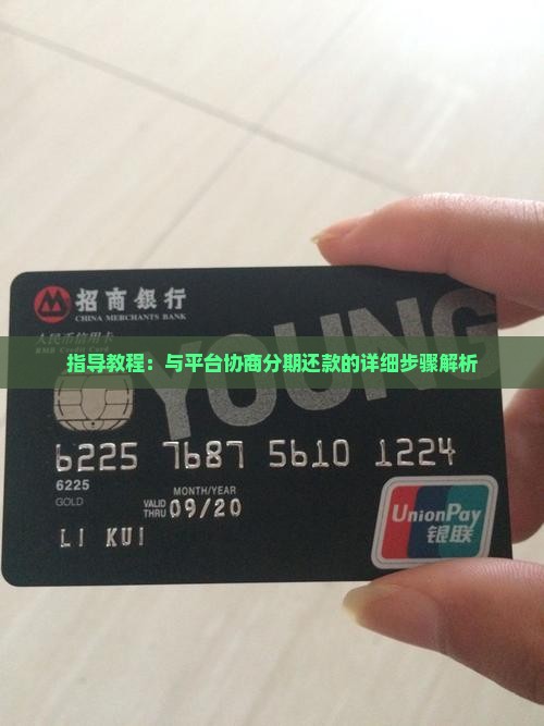 指导教程：与平台协商分期还款的详细步骤解析
