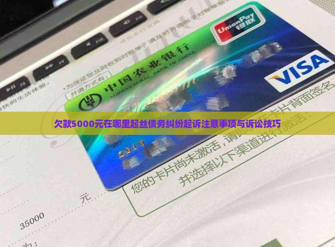 欠款5000元在哪里起丝债务纠纷起诉注意事项与诉讼技巧