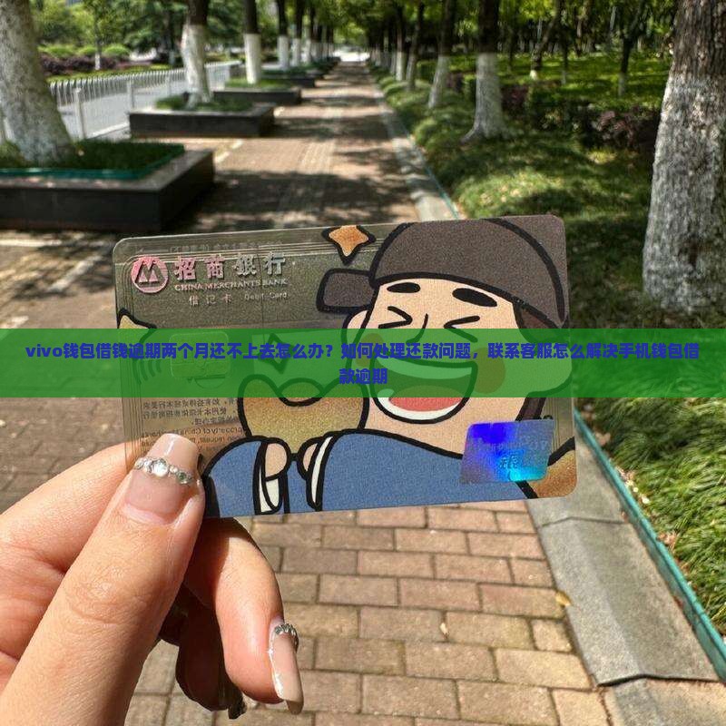 vivo钱包借钱逾期两个月还不上去怎么办？如何处理还款问题，联系客服怎么解决手机钱包借款逾期