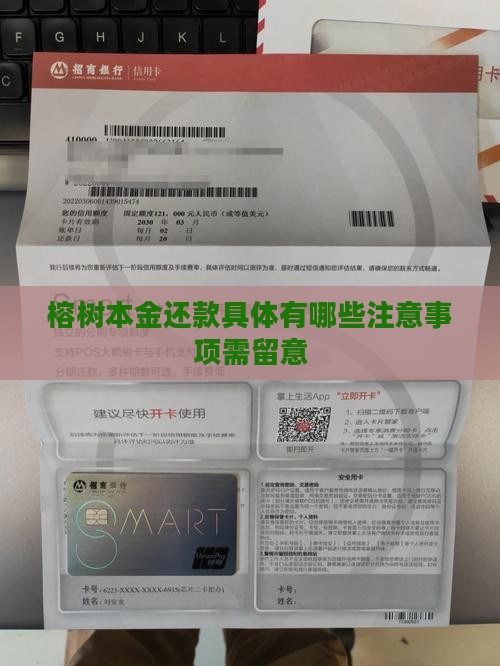 榕树本金还款具体有哪些注意事项需留意