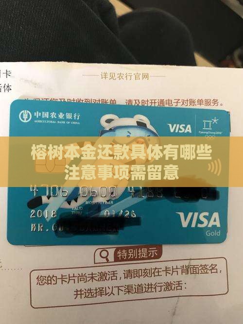 榕树本金还款具体有哪些注意事项需留意