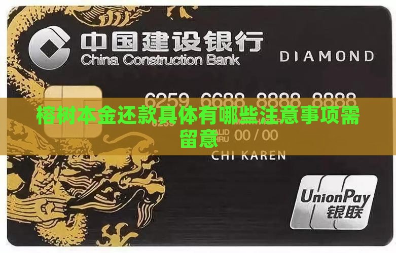 榕树本金还款具体有哪些注意事项需留意