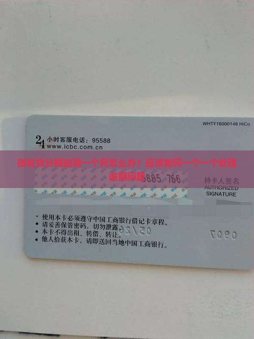微粒贷分期逾期一个月怎么办？应该如何一个一个处理逾期问题