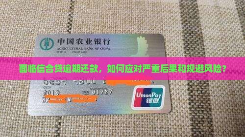 面临信合贷逾期还款，如何应对严重后果和规避风险？