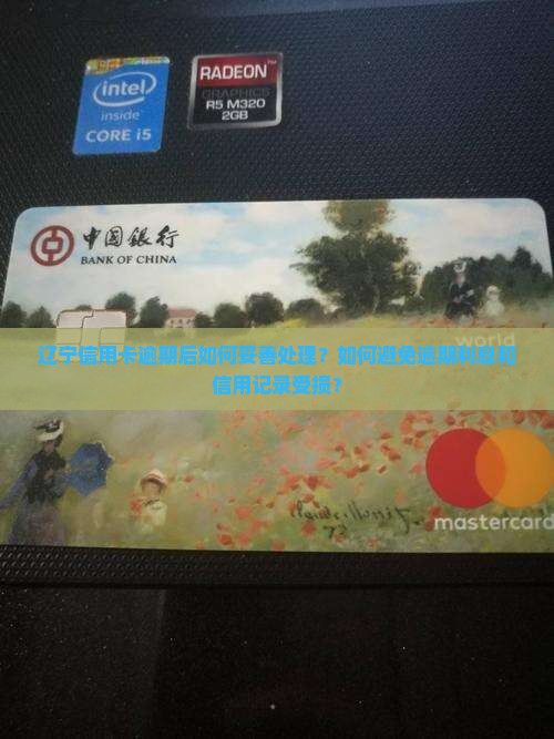 辽宁信用卡逾期后如何妥善处理？如何避免逾期利息和信用记录受损？