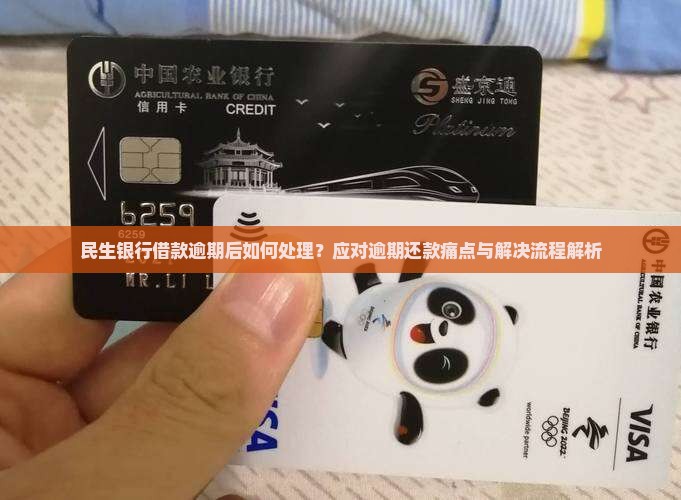 民生银行借款逾期后如何处理？应对逾期还款痛点与解决流程解析