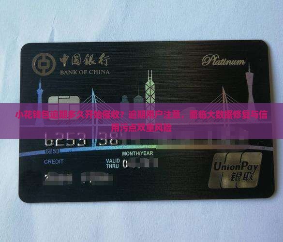 小花钱包逾期多久开始催收？逾期用户注意，面临大数据修复与信用污点双重风险