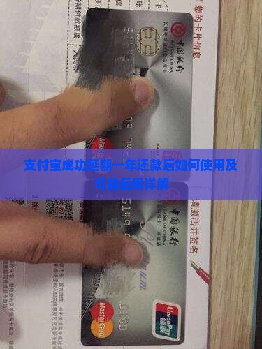 支付宝成功延期一年还款后如何使用及可能后果详解