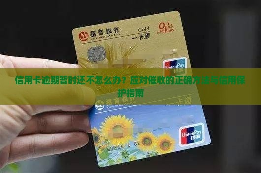 信用卡逾期暂时还不怎么办？应对催收的正确方法与信用保护指南