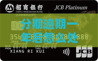 分期逾期一年后怎么处理？一年该怎么办？