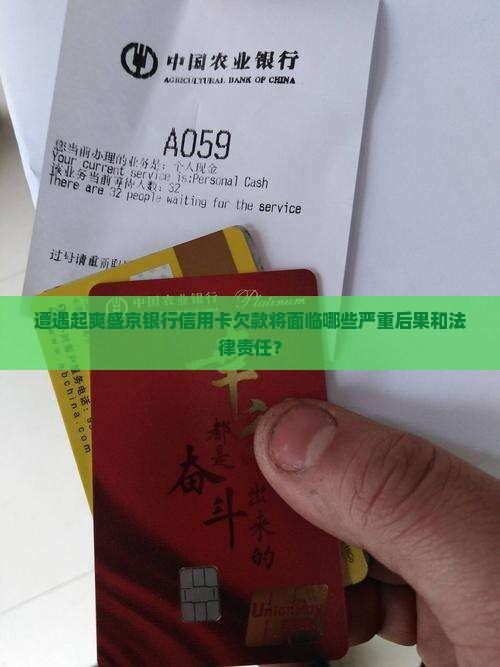 遭遇起爽盛京银行信用卡欠款将面临哪些严重后果和法律责任？