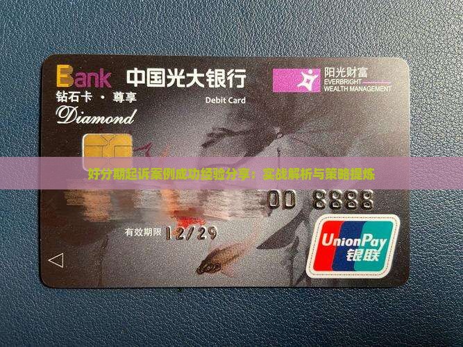 好分期起诉案例成功经验分享：实战解析与策略提炼