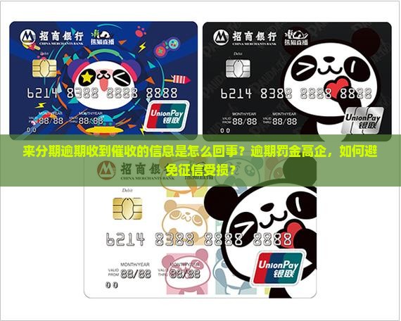 来分期逾期收到催收的信息是怎么回事？逾期罚金高企，如何避免征信受损？