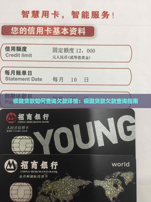 极融贷款如何查询欠款详情：极融贷款欠款查询指南