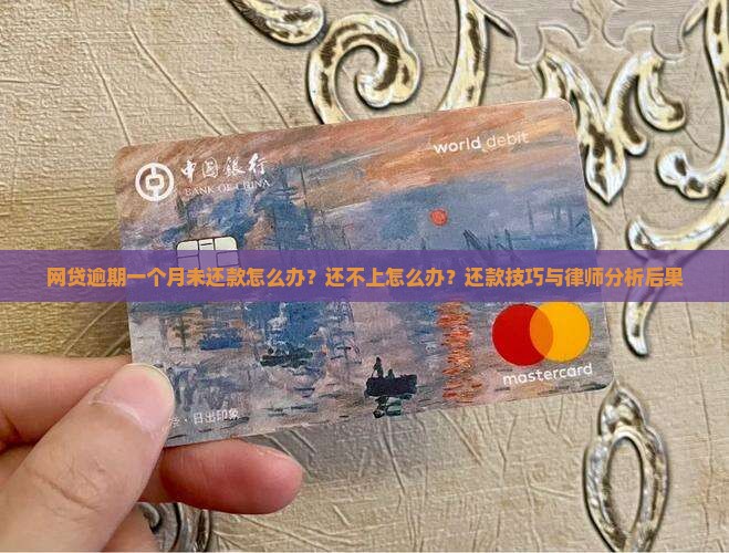 网贷逾期一个月未还款怎么办？还不上怎么办？还款技巧与律师分析后果