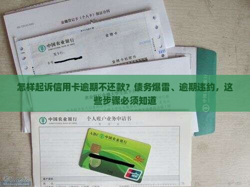 怎样起诉信用卡逾期不还款？债务爆雷、逾期违约，这些步骤必须知道