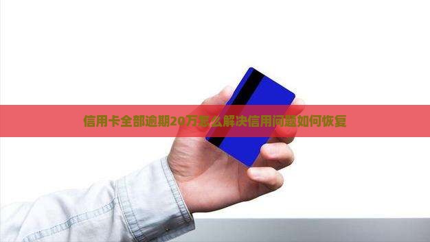信用卡全部逾期20万怎么解决信用问题如何恢复