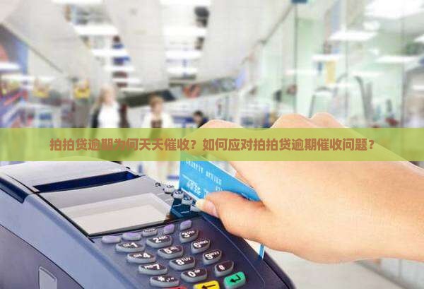 拍拍贷逾期为何天天催收？如何应对拍拍贷逾期催收问题？