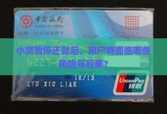 小贷暂停还款后，用户将面临哪些风险与后果？