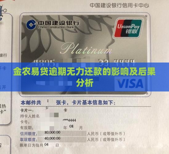 金农易贷逾期无力还款的影响及后果分析
