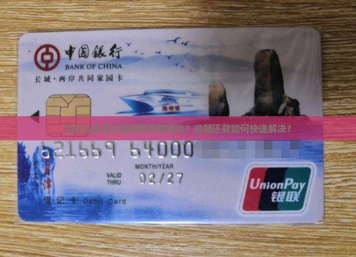 为什么乐花分期诉前调解纳功？逾期还款如何快速解决？