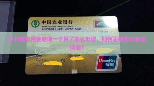 支付宝备用金逾期一个月了怎么处理，如何正确应对逾期问题？