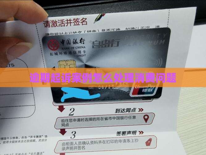 逾期起诉案例怎么处理消费问题