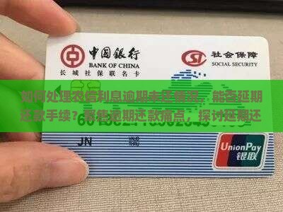如何处理农信利息逾期未还情况，能否延期还款手续？聚焦逾期还款痛点，探讨延期还款新途径。